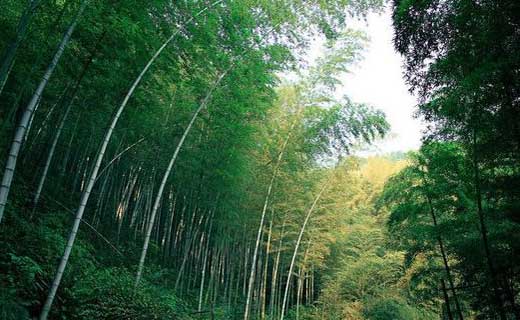 信阳 | 固始西九华山 拓展基地