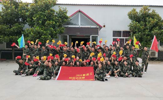 贺某房地产咨询有限公司2018新员工拓展训练营圆满闭营